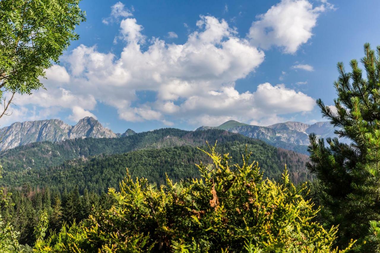 Domy Sywarne z Sauną i widokiem na góry Kościelisko Exterior foto